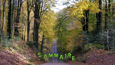 Sommaire